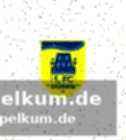 Sportlicher erfolg als lichtblick