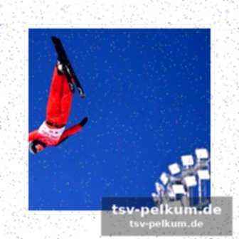 Stimmen zum spiel