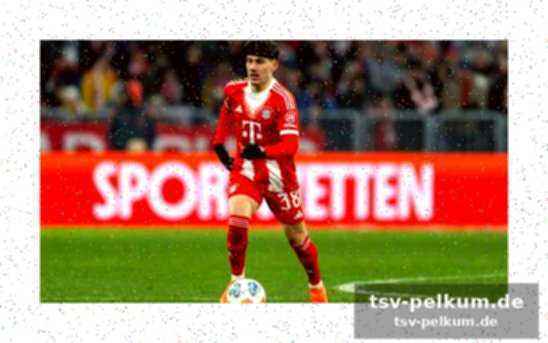 Ziel: schrittweise entwicklung in der bundesliga