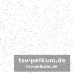 Der einfluss des vaters und die entscheidung für den kartsport