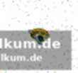 Buffalo beendet den traum, aber nicht den trend