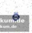 Spitzenspiel in potsdam: duell der punktgleichen teams