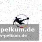Erfolgsgeschichten: von der 3. liga in den profifußball