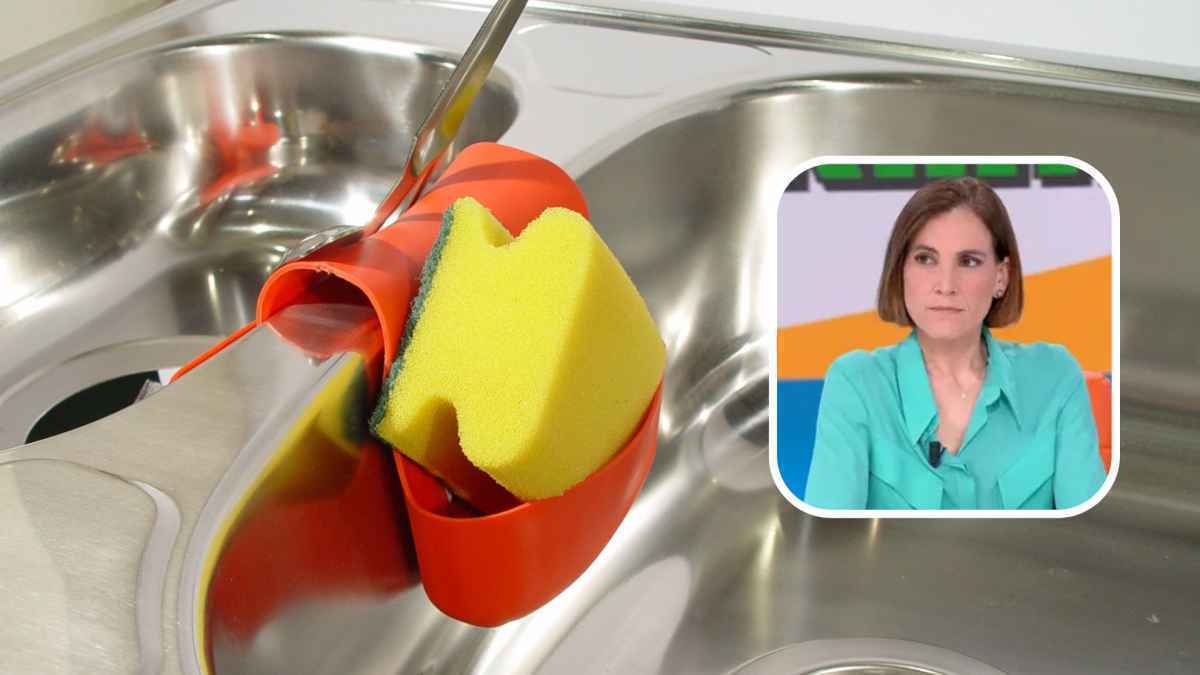 54 Milliarden bazillen in einem schwamm: so dreckig ist ihre küche wirklich