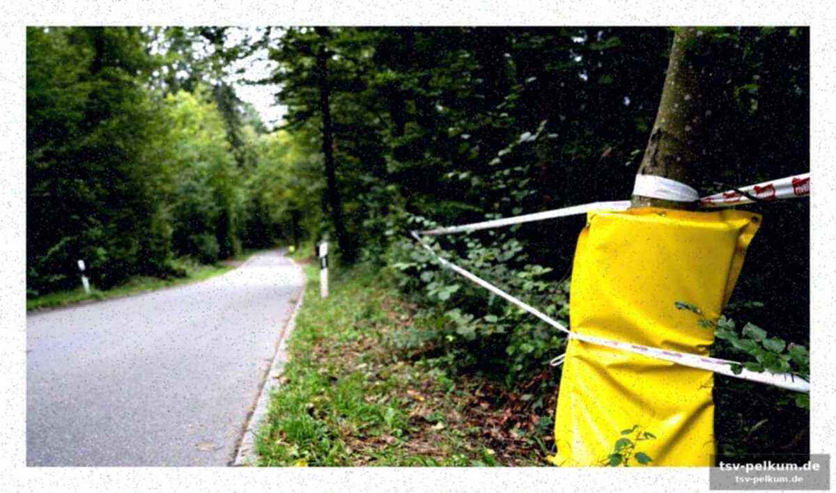 Was die uci verschweigt: die lücken im regelwerk