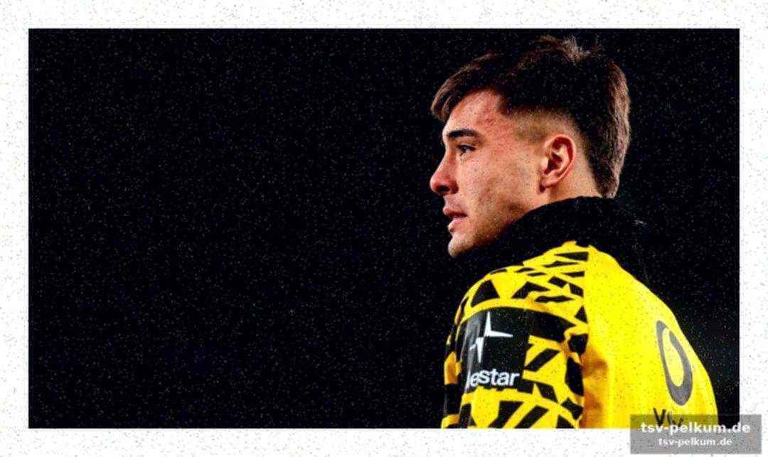 Die kurze zeit beim bvb