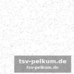 Das probetraining entscheidet alles