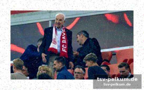 Ehrung in der allianz arena
