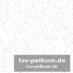 Leão und pulisic als positive ausnahmen