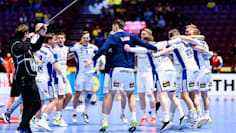 Adler, flieg ins finale! deutschland im handball-fieber!