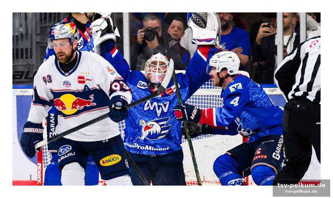 Das finale gegen die eisbären: ein duell der giganten