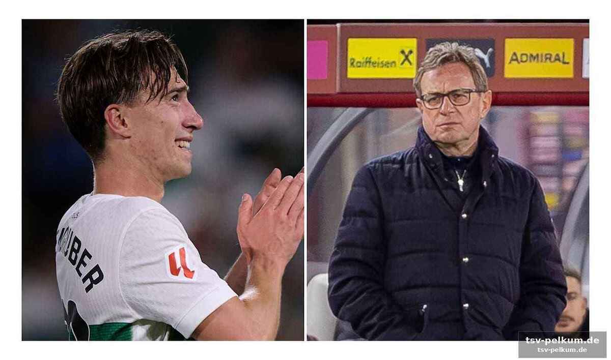 Die uhr tickt: affengruber muss liefern