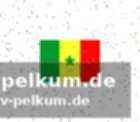 Zusammenfassung der vorwürfe