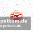 Kurzer einsatz und bittere diagnose