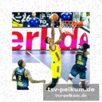 Ausblick auf das finale gegen bamberg