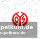Erwartungen in mainz