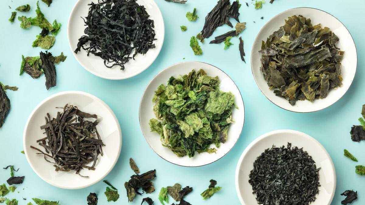 Algen-boom: superfood aus dem meer erobert unsere küche!
