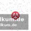 Weitere ergebnisse und ausblick