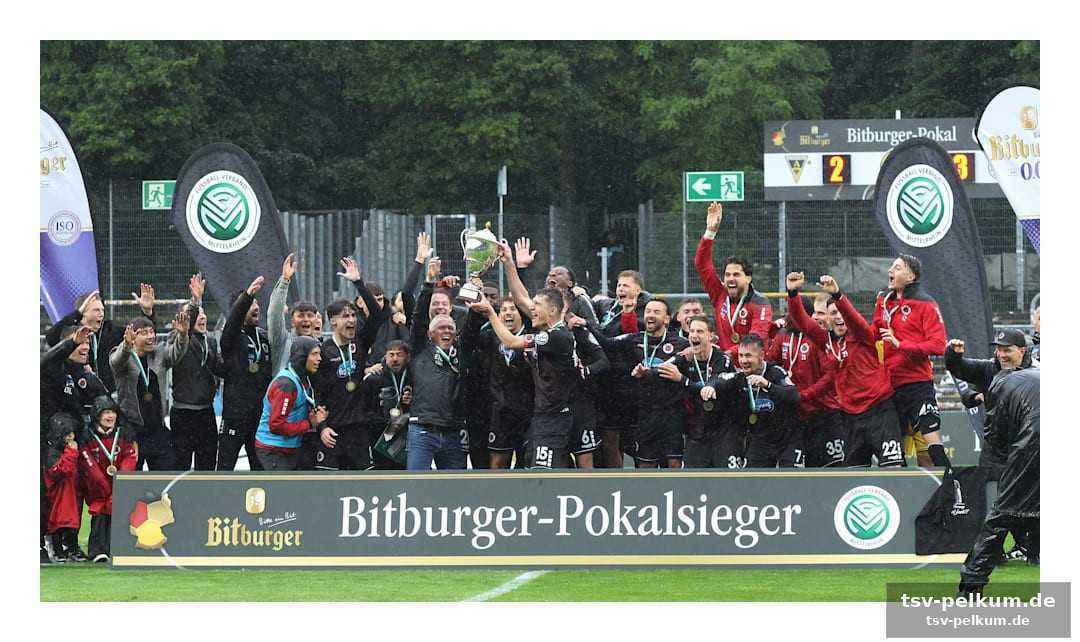 Mehr als nur ein pokal: dfb-pokal-qualifikation