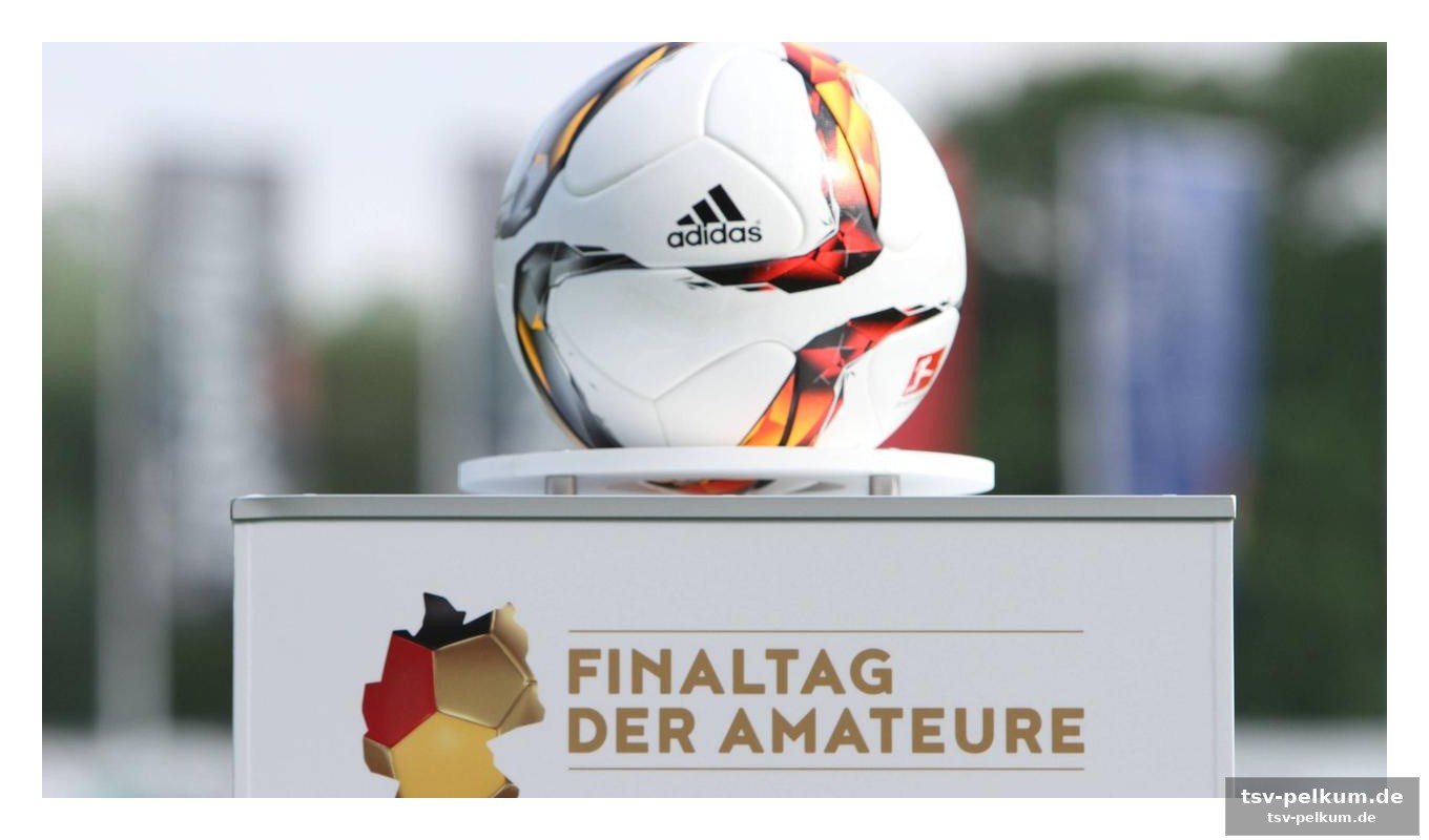 Livestream und experten-kommentare: so verpasst du nichts