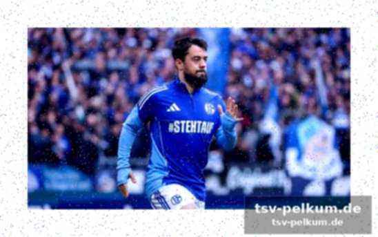 31 Spiele für schalke 04