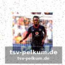 Konkurrenz in südafrika und neuseeland