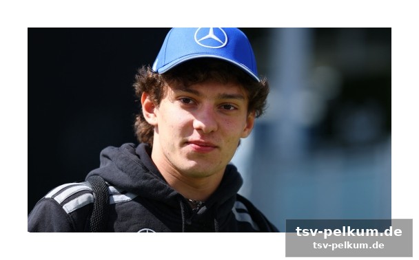 Verstappen am nürburgring: ein sport-moment