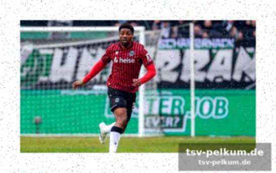Hannover 96 in topform