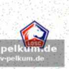 Zusätzliche informationen