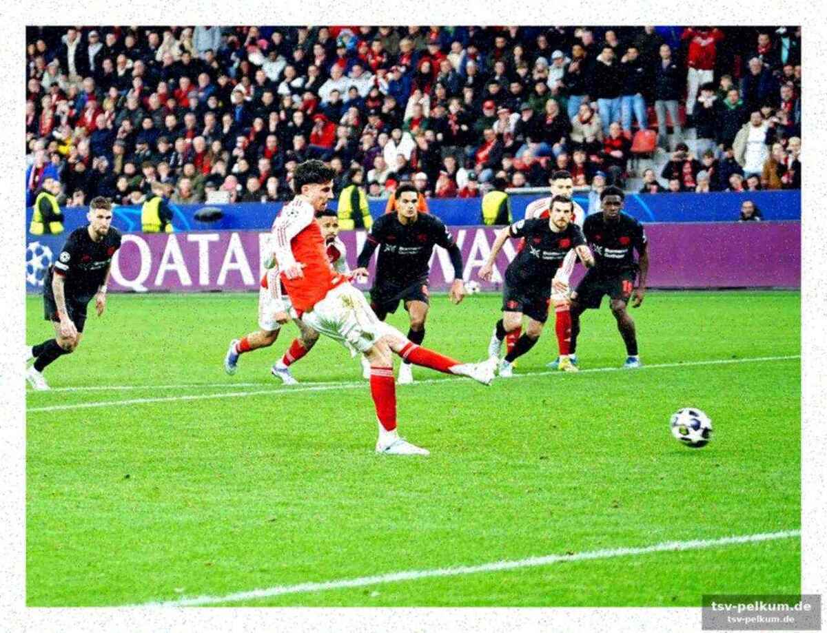 Dfb-schiri des jahres 2011 empört über uefa-linie