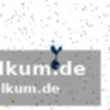Havertz weiterhin verletzt – kolo muani trifft für tottenham