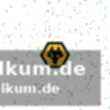 Wolverhampton kämpft sich zurück ins spiel
