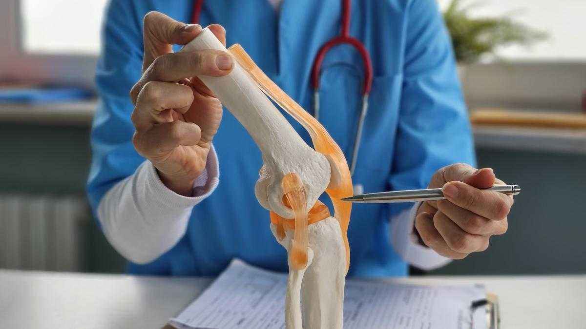 Arthrose: bewegung ist der beste schutz – neue wissenschaftliche erkenntnisse!