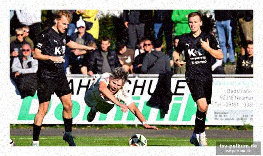Regionalliga-lizenz? erstmal baustelle statt champagner