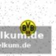 Kovac äußert sich zur strittigen elfmeterentscheidung