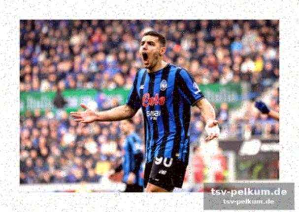 Spieler im fokus: pasalic und krstovic