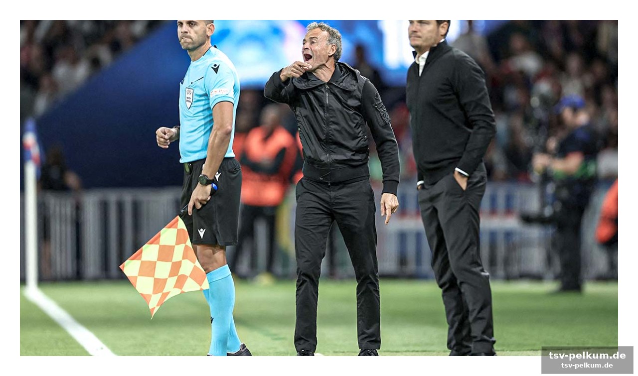 Ein sommer im zeichen der champions league