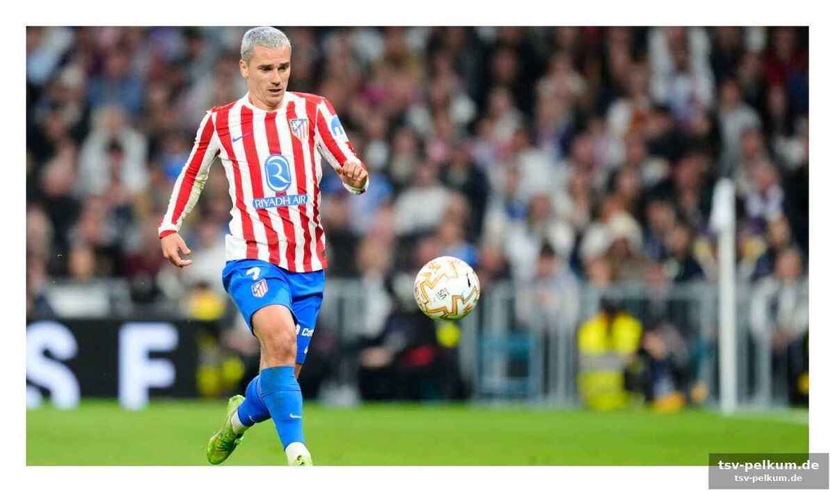 Musso hält oblak