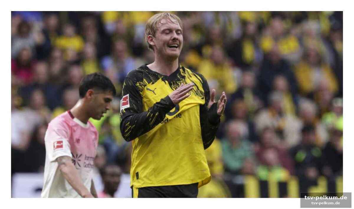 Ein routinier mit champions-league-erfahrung