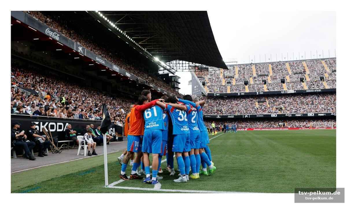 Die copa del rey und die königsklasse: simeones fokus
