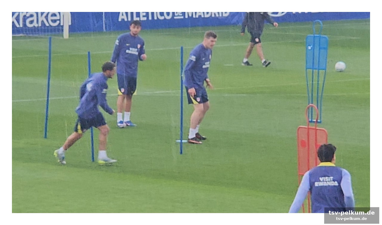 Wer rückt nach? chancen für giménez und sorloth