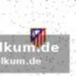 Talente bei brügge im fokus