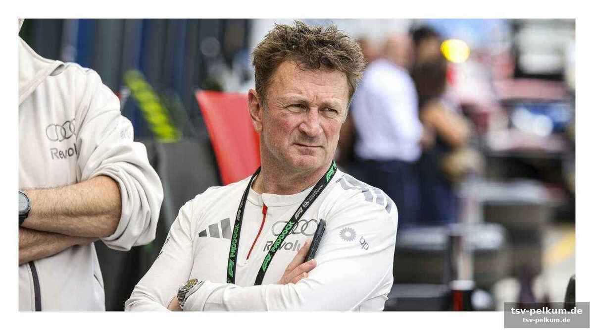 Binotto bestätigt: mcnish soll performance-bereiche verbinden
