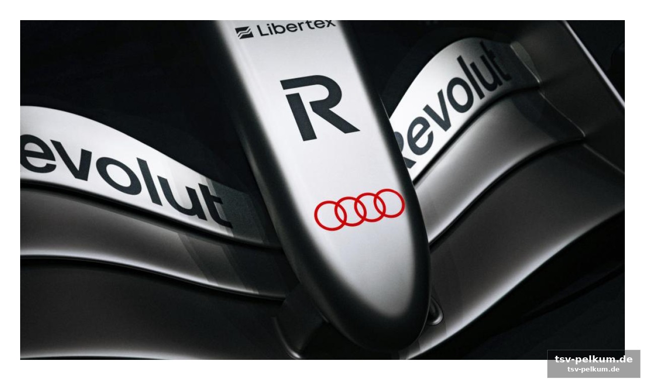 Die fia-überprüfung: ein gefundenes fressen für audi