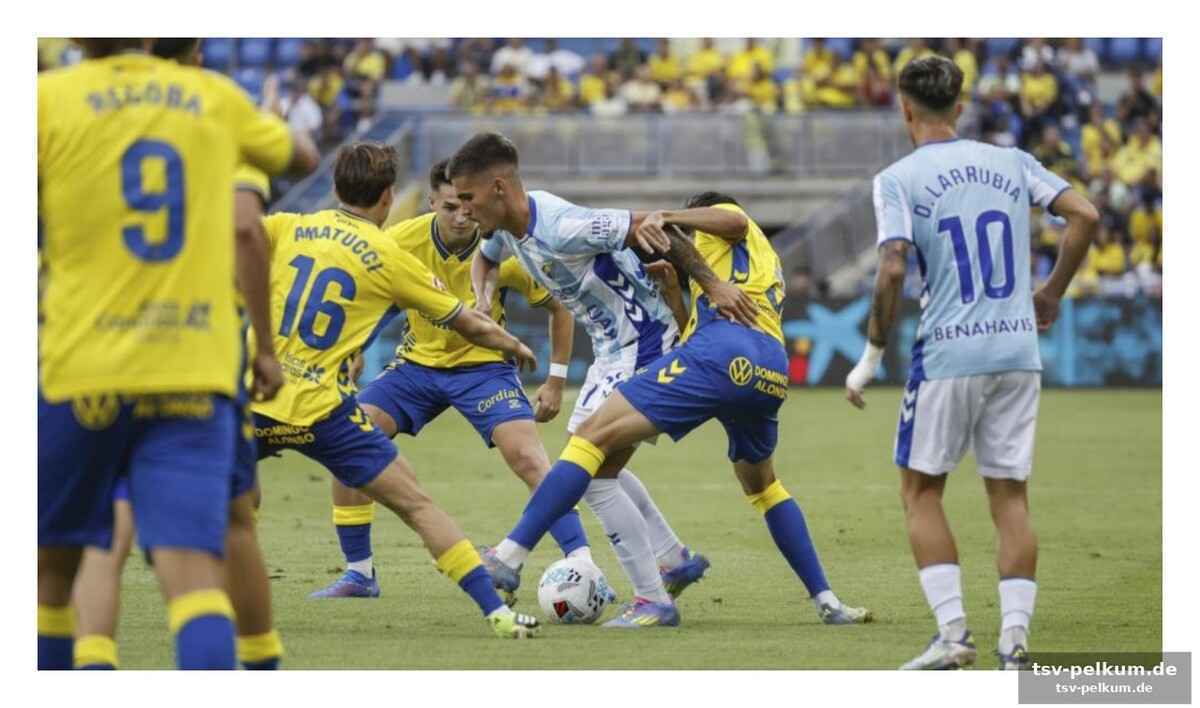 Die veteranen von las palmas kennen den weg