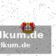 Wamser als sichere bank, aber wer links hinten?