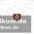 Hofmann und terrier – keine überzeugenden alternativen?
