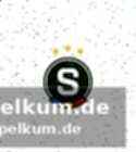 Trainerstimmen und ausblick