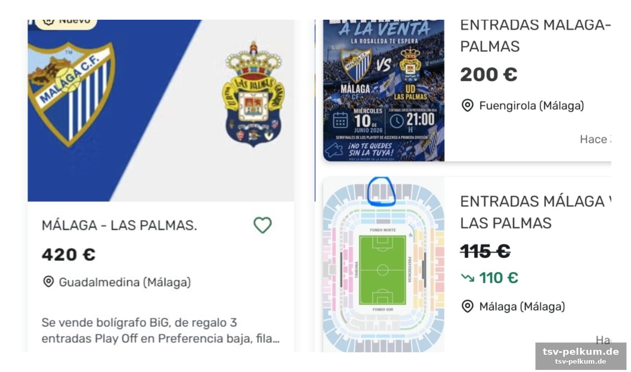 Ticket-chaos überschattet die euphorie
