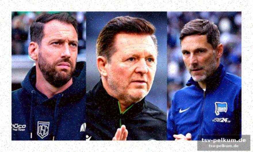 Der nächste trainer tritt einen hoffnungslosen job an? ganz im gegenteil